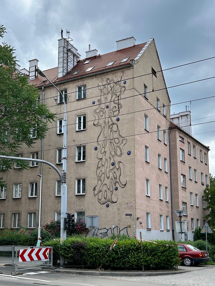 Neuroornament Anity Sieradzkiej z ASP Wrocław