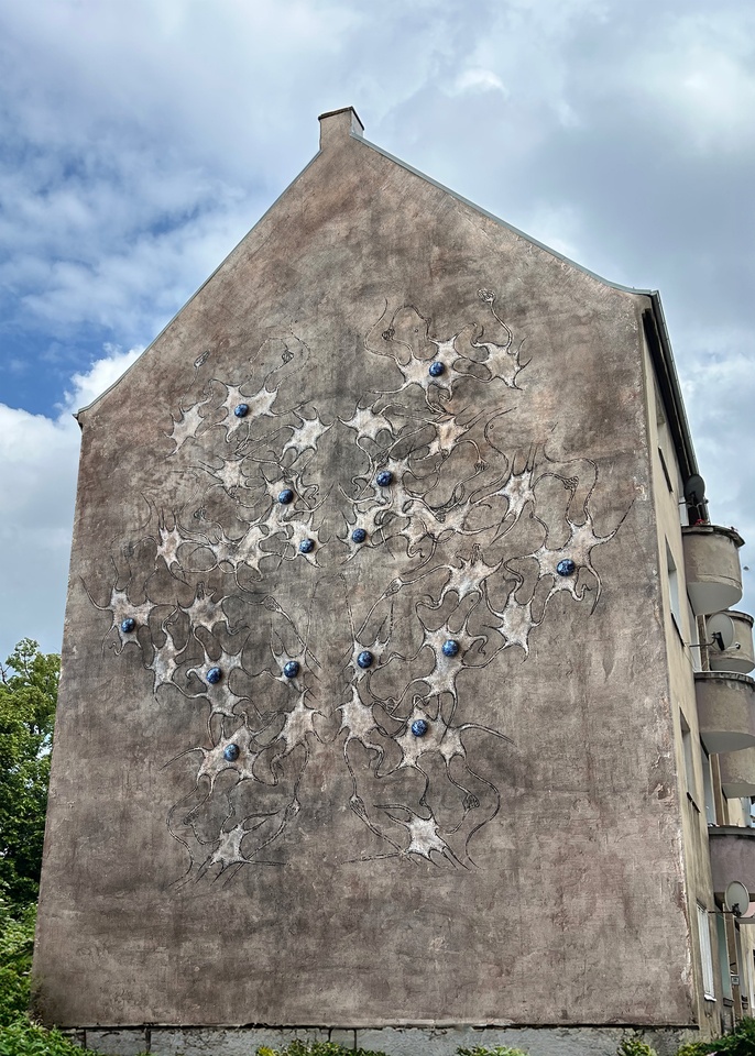 Neuroornament Anity Sieradzkiej z ASP Wrocław