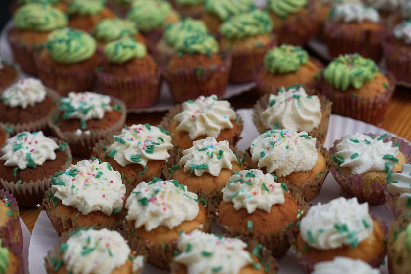 Festyn z okazji 10. rocznicy Parków ESK, 7 września 2025. park Południowy