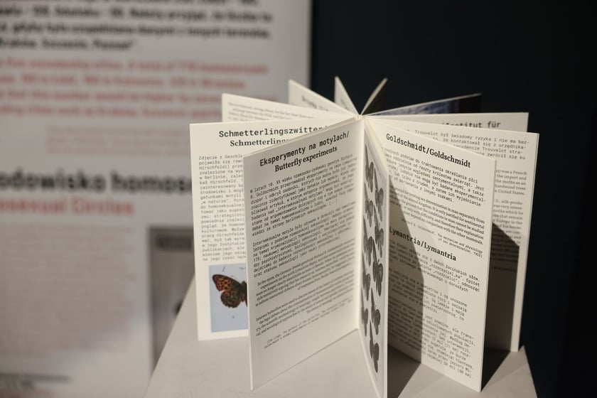 Wystawa &bdquo;Historie odzyskane. Queer na Dolnym Śląsku&rdquo; w Muzeum Teatru im. H. Tomaszewskiego do 30 listopada