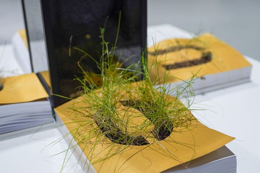 Og&oacute;lnopolski Przegląd Sztuki Książki w Pawilonie Czterech Kopuł. Wrocław, 15.11.2025