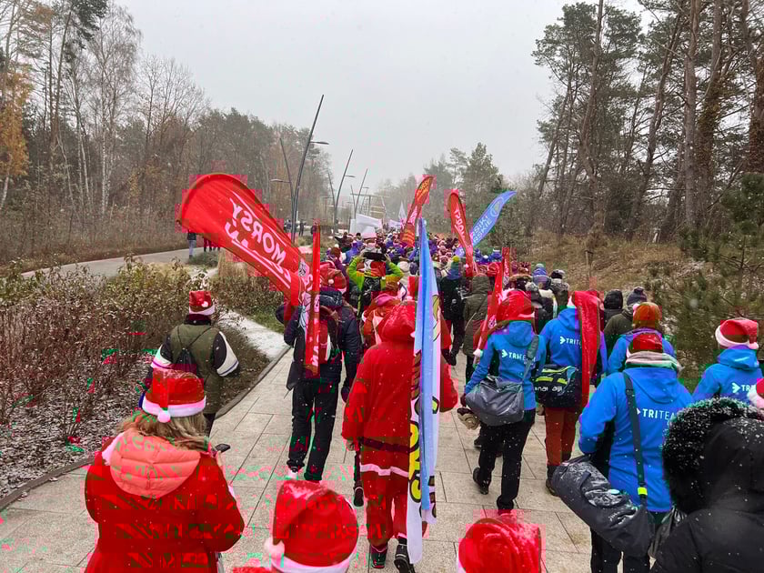 Na zdjęciu widać morsy z Wrocławia, które przyjechały na zjazd do Świnoujścia.