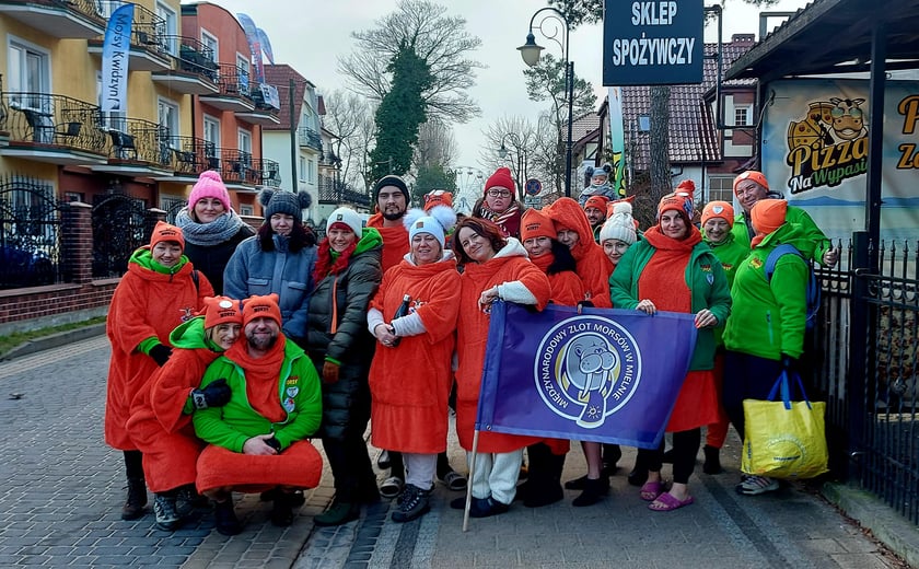 Na zdjęciu widać morsy z Wrocławia w Mielnie
