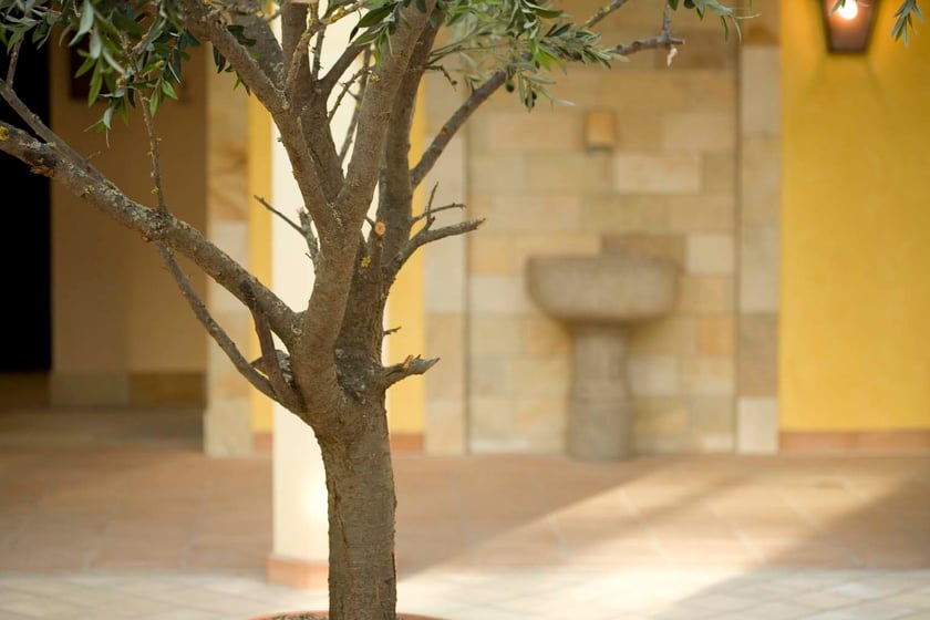 Aquapark przy ulicy Borowskiej