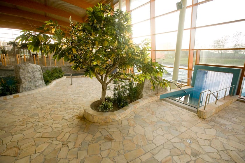 Aquapark przy ulicy Borowskiej