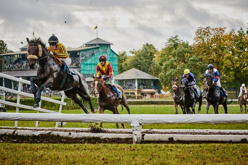 11. dzień wyścigowy na Partynicach i Crystal Cup