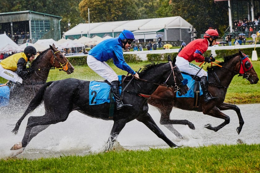 11. dzień wyścigowy na Partynicach i Crystal Cup