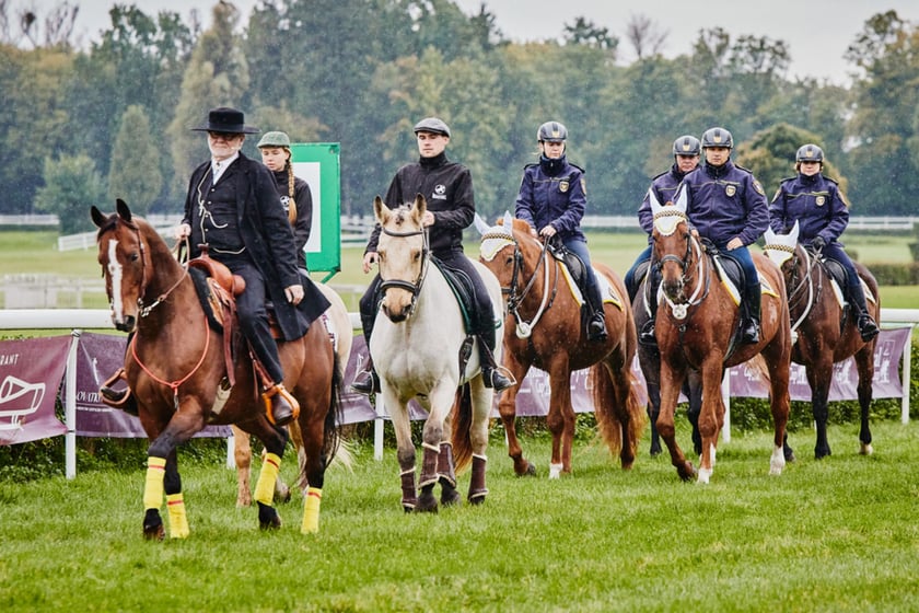 11. dzień wyścigowy na Partynicach i Crystal Cup