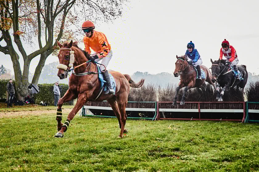 Ostatni dzień gonitw w sezonie 2023 na Partynicach