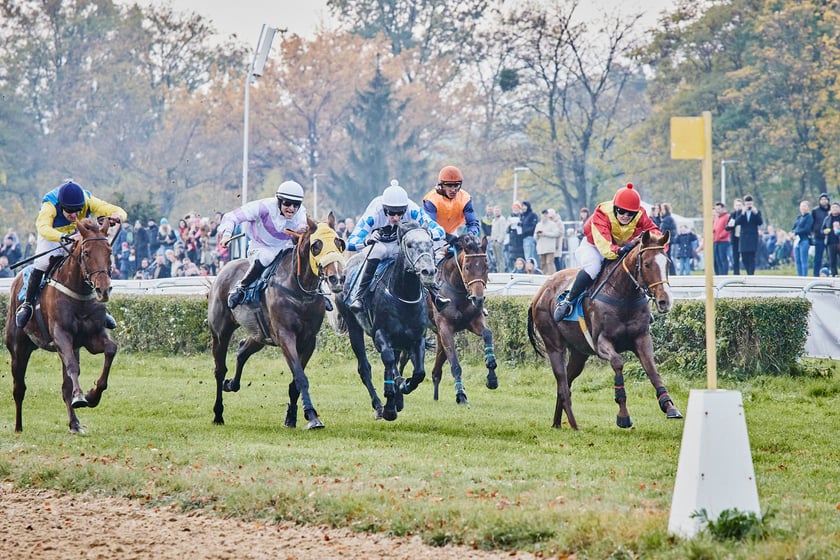 Ostatni dzień gonitw w sezonie 2023 na Partynicach