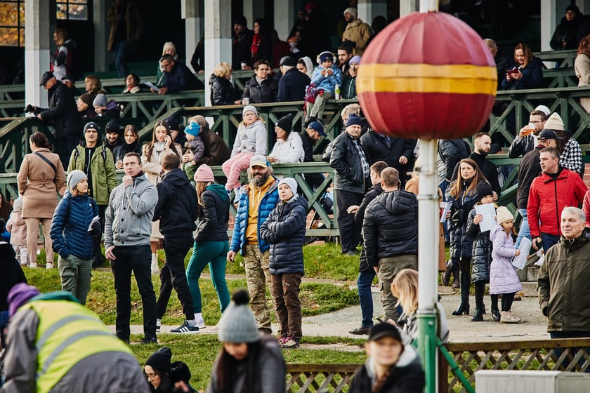 Ostatni dzień gonitw w sezonie 2023 na Partynicach