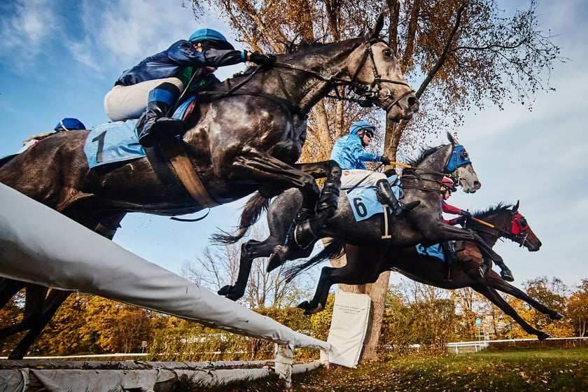 Ostatni dzień gonitw w sezonie 2023 na Partynicach