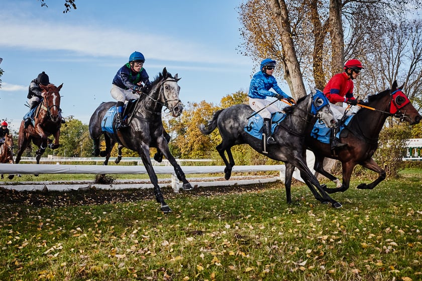 Ostatni dzień gonitw w sezonie 2023 na Partynicach
