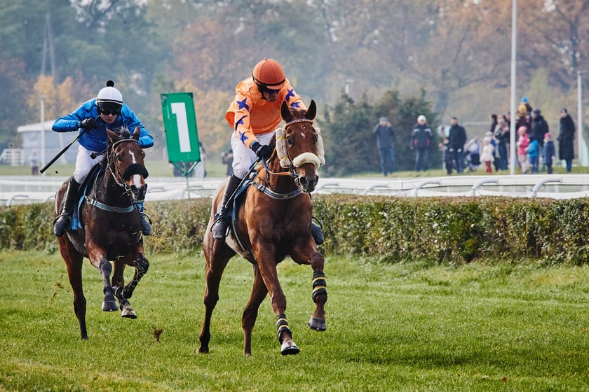 Ostatni dzień gonitw w sezonie 2023 na Partynicach