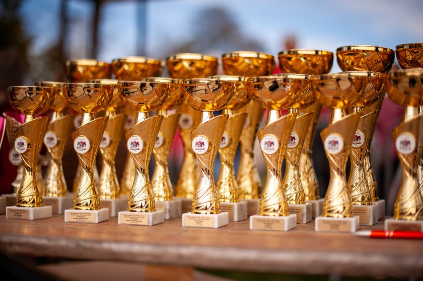 Ostatni dzień gonitw w sezonie 2023 na Partynicach