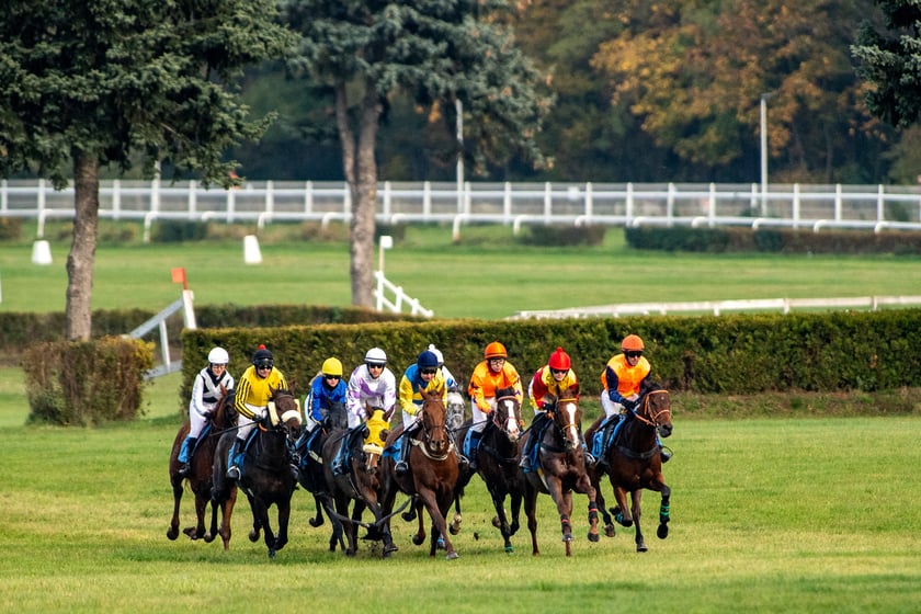 Ostatni dzień gonitw w sezonie 2023 na Partynicach