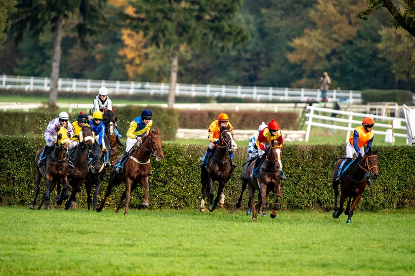 Ostatni dzień gonitw w sezonie 2023 na Partynicach