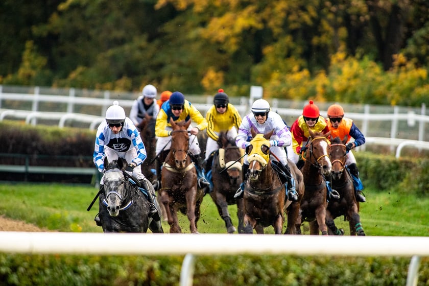 Ostatni dzień gonitw w sezonie 2023 na Partynicach