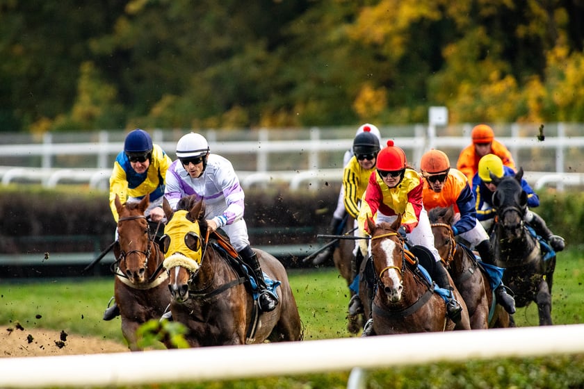 Ostatni dzień gonitw w sezonie 2023 na Partynicach