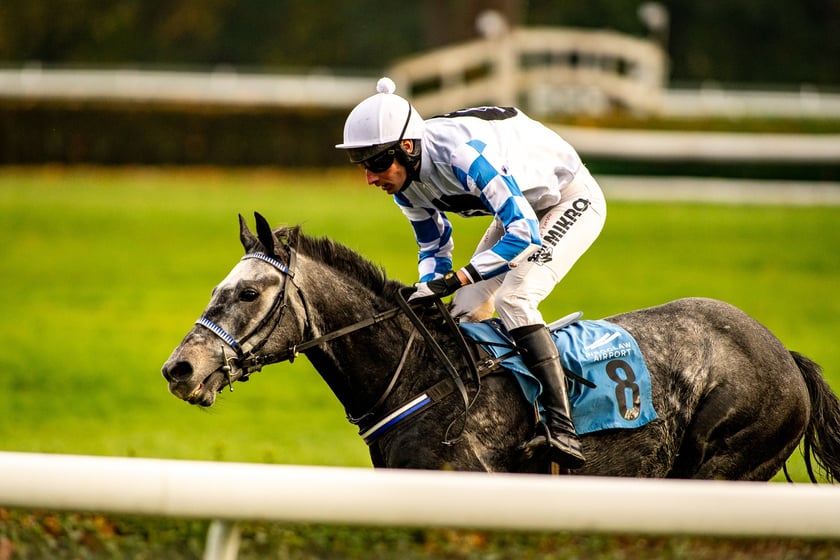 Ostatni dzień gonitw w sezonie 2023 na Partynicach