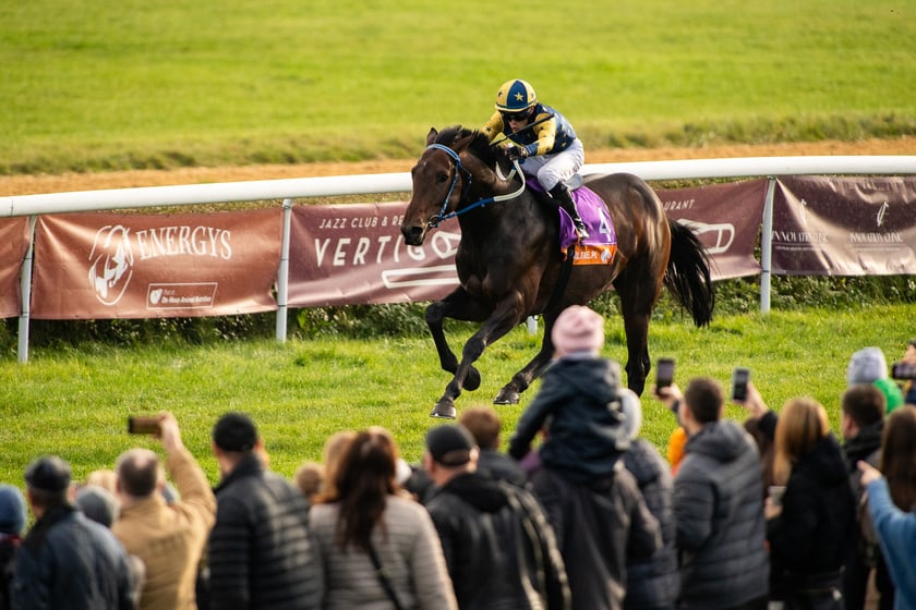 Ostatni dzień gonitw w sezonie 2023 na Partynicach