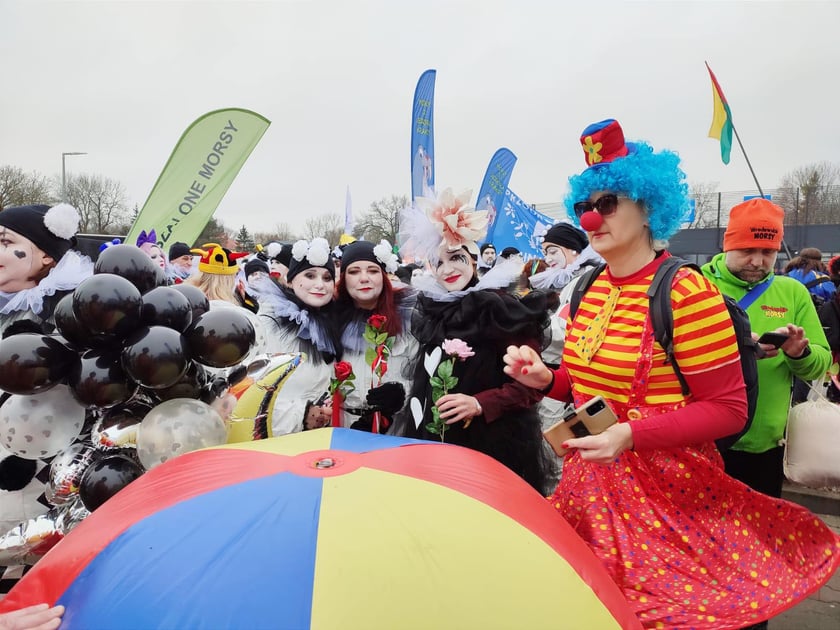 XXI Międzynarodowy Zlot Morsów w Mielnie odbył się w miniony weekend. Na zdjęciu morsy z Wrocławia