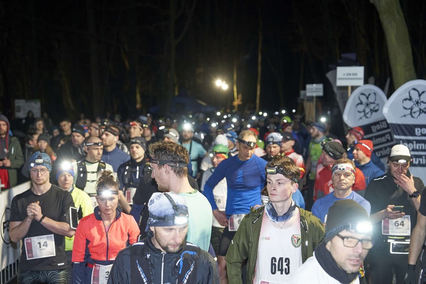 Bieg Pamięci Sybiru 2024 w Lesie Osobowickim