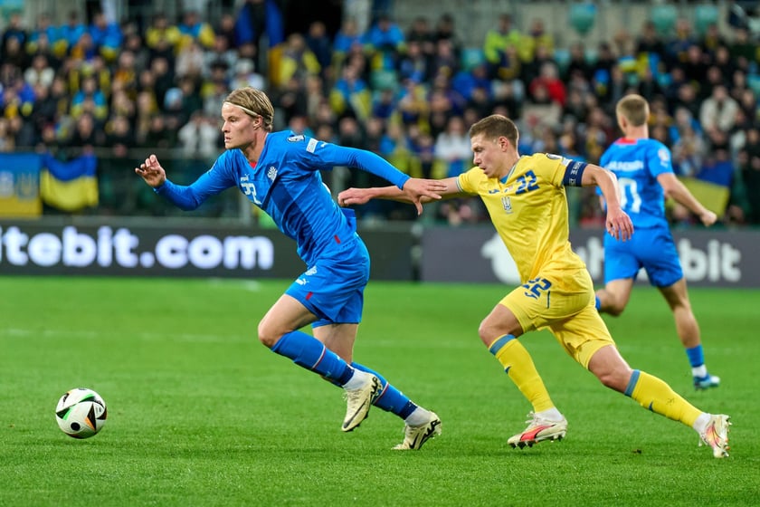 Ukraina - Islandia na Tarczyński Arenie - zdjęcia z meczu oraz kibiców