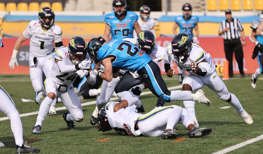 Mecz Panthers Wrocław vs. Stuttgart Surge na Olimpijskim