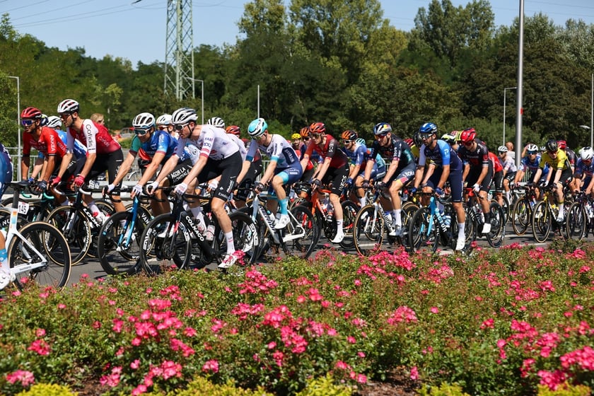 Start ostry 81. TdP (12.08.2024)