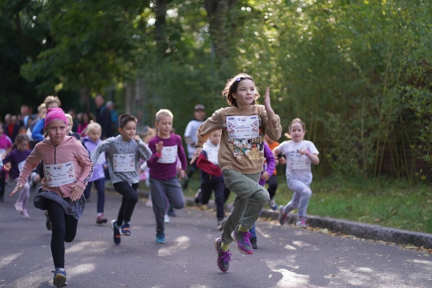 Wild Run 2023