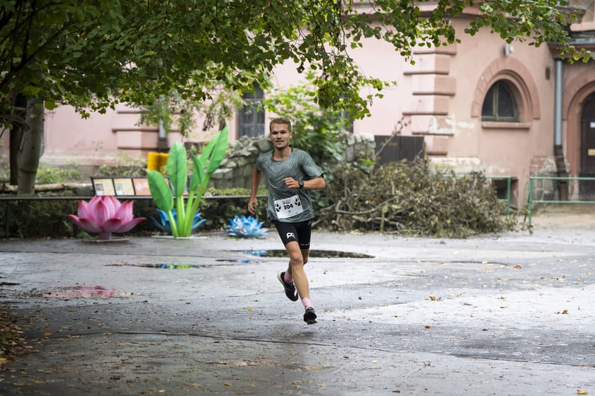Bieg charytatywny Wild Run po wrocławskim zoo, 06.10.2024