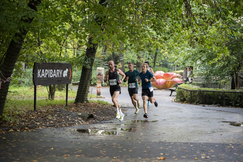 Bieg charytatywny Wild Run po wrocławskim zoo, 06.10.2024