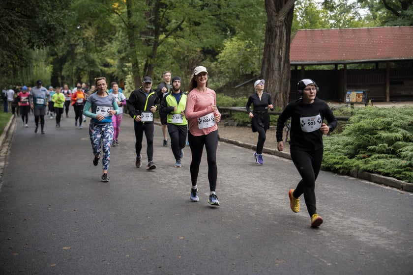 Bieg charytatywny Wild Run po wrocławskim zoo, 06.10.2024