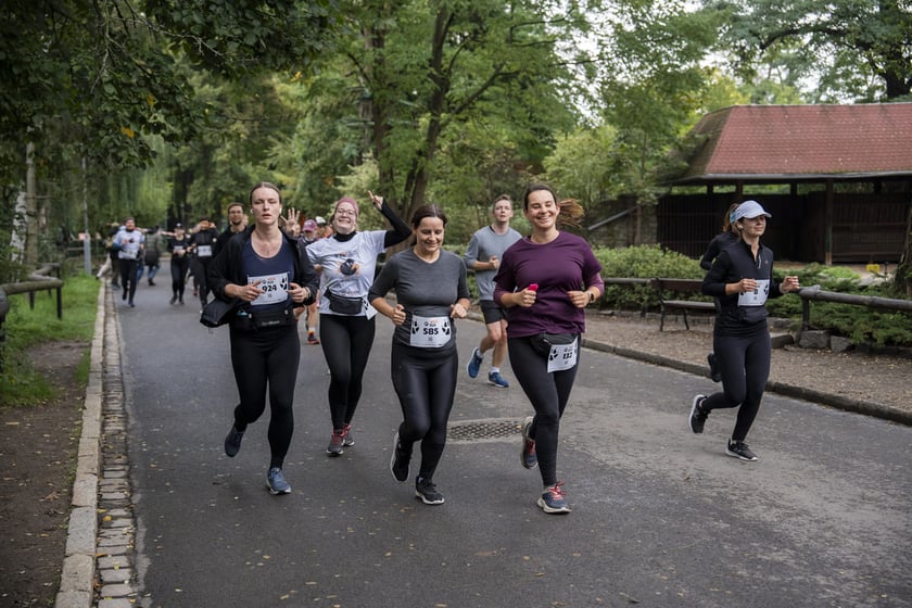 Bieg charytatywny Wild Run po wrocławskim zoo, 06.10.2024