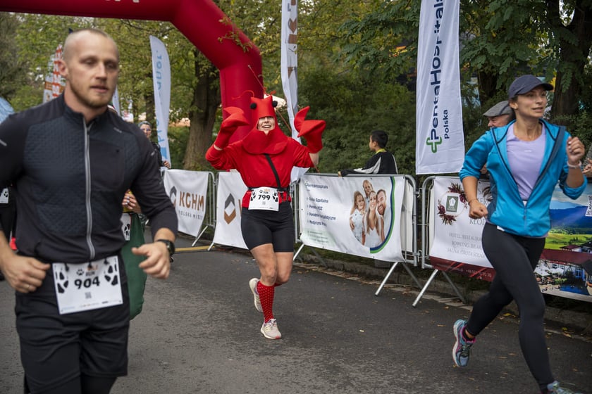 Bieg charytatywny Wild Run po wrocławskim zoo, 06.10.2024