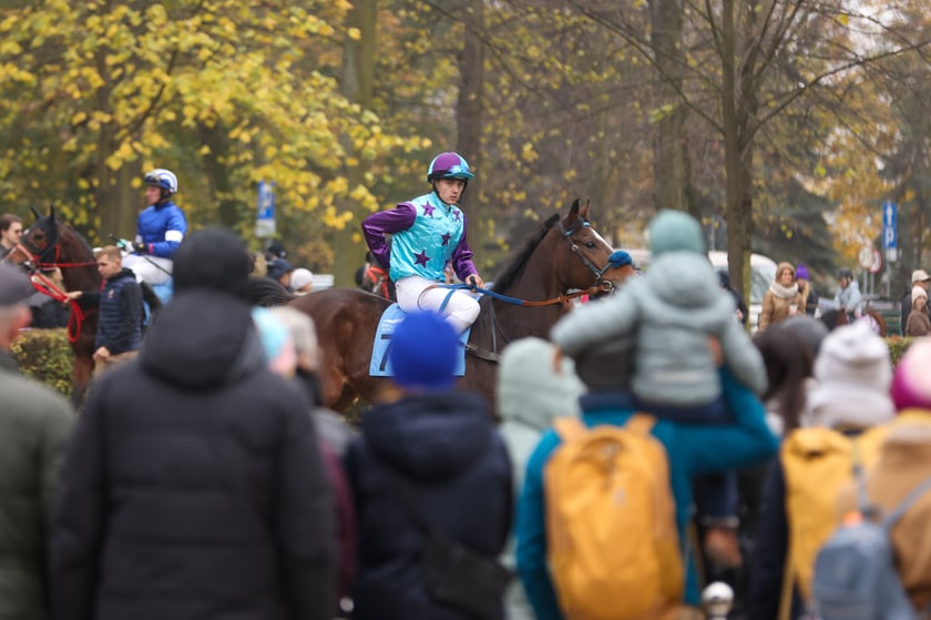 Finał sezonu wyścigów konnych 2024 na Partynicach