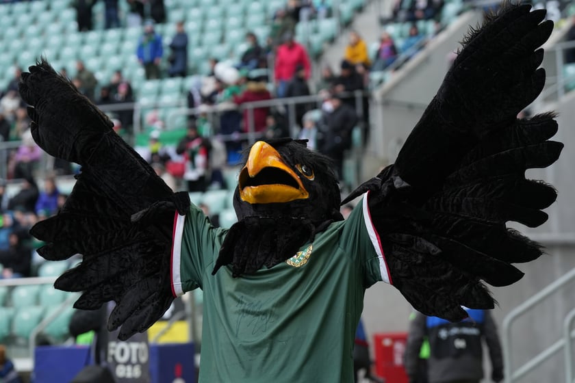 Śląsk Wrocław vs Widzew Łódź