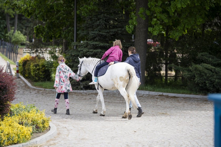 V Wielka Majówka na Partynicach