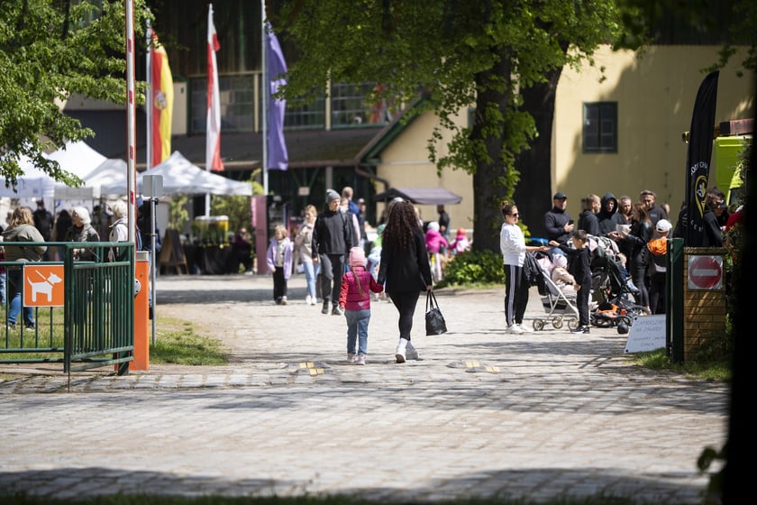 V Wielka Majówka na Partynicach