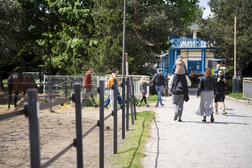 V Wielka Majówka na Partynicach
