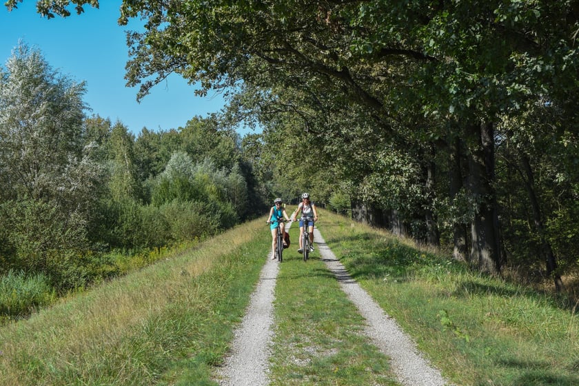 Do Błękitnej Laguny