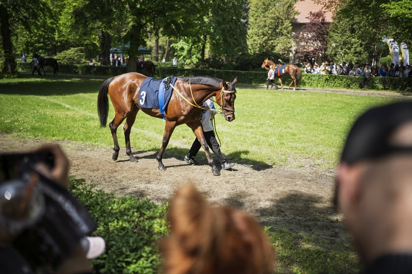 Na zdjęciach początek sezonu na Partynicach