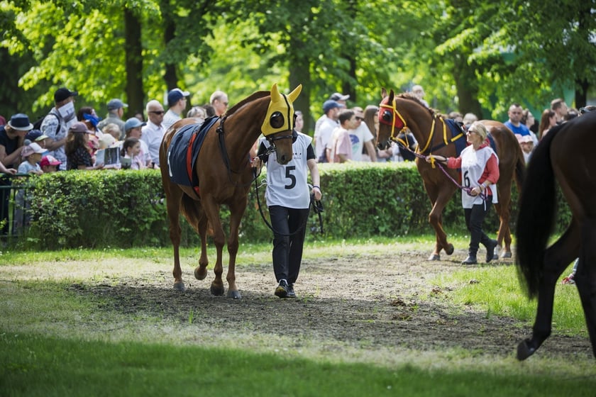 Na zdjęciach początek sezonu na Partynicach