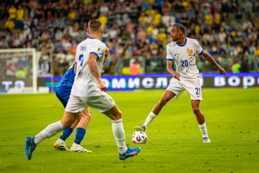 Kibice na meczu Ukraina - Francja na Tarczyński Arenie we Wrocławiu