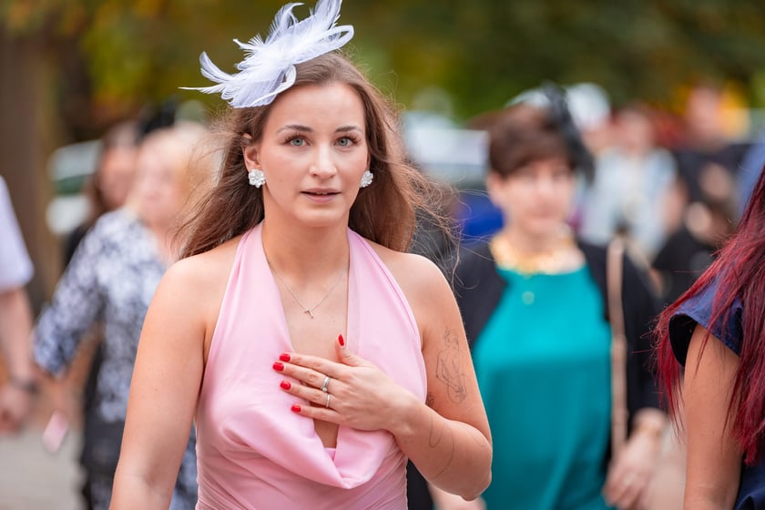 Wielka Wrocławska i Wielka Partynicka oraz 6 innych gonitw na Torze Partynice we Wrocławiu - 7 września 2025