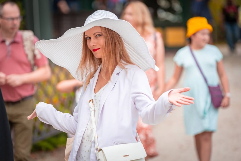 Wielka Wrocławska i Wielka Partynicka oraz 6 innych gonitw na Torze Partynice we Wrocławiu - 7 września 2025