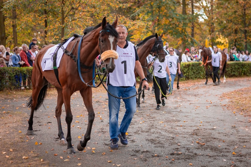 Wielka Wrocławska i Wielka Partynicka oraz 6 innych gonitw na Torze Partynice we Wrocławiu - 7 września 2025