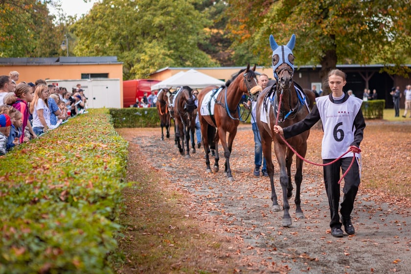 Wielka Wrocławska i Wielka Partynicka oraz 6 innych gonitw na Torze Partynice we Wrocławiu - 7 września 2025