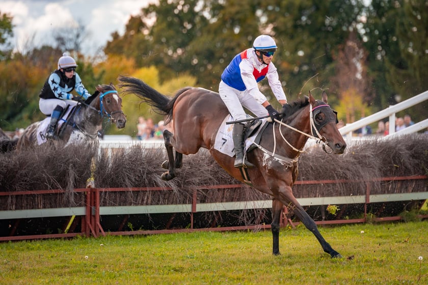 Wielka Wrocławska i Wielka Partynicka oraz 6 innych gonitw na Torze Partynice we Wrocławiu - 7 września 2025